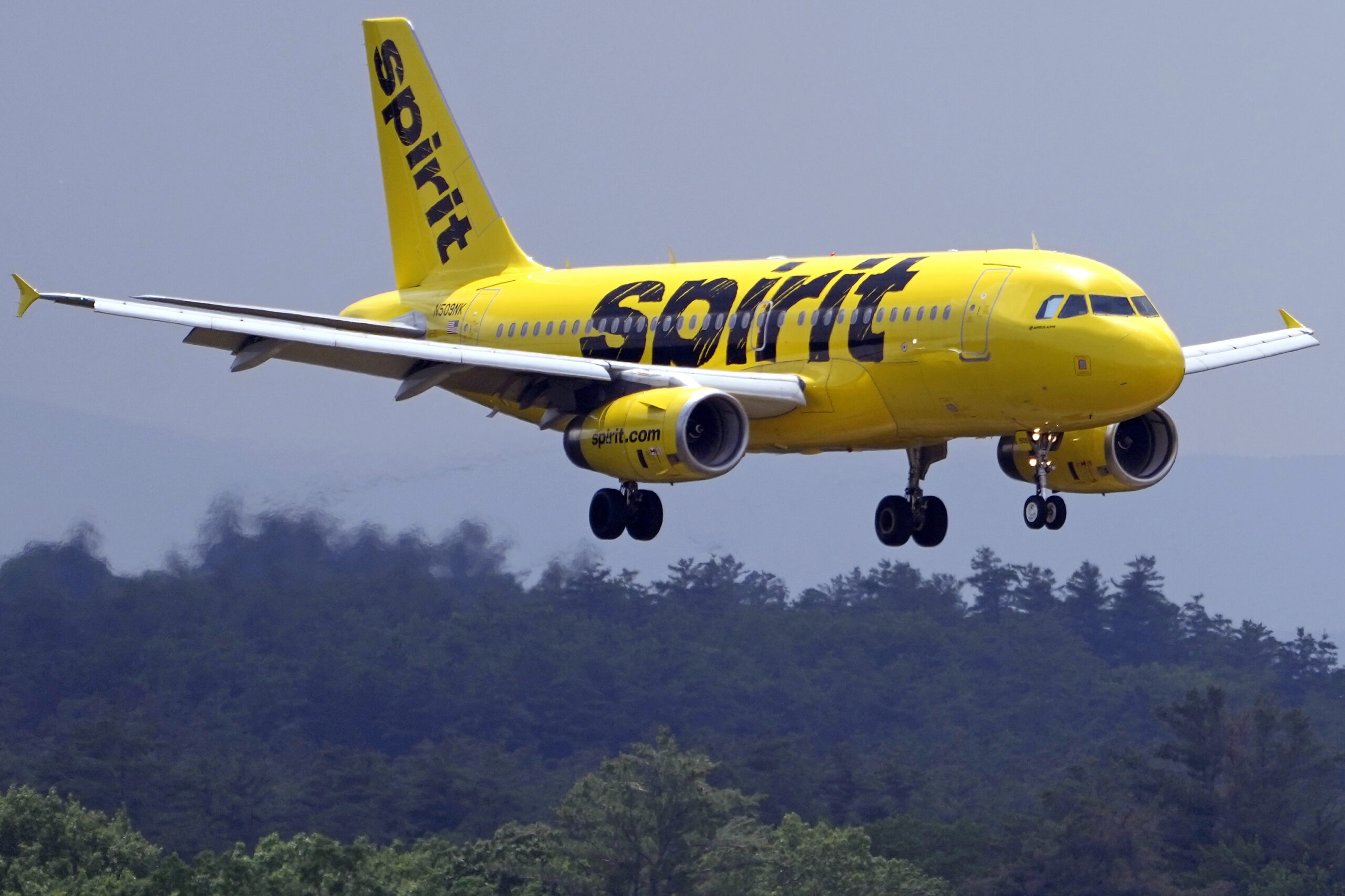 Spirit Airlines image